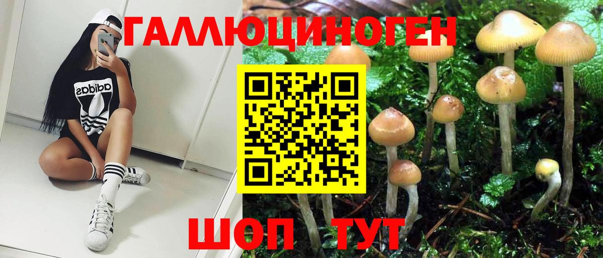 Псилоцибиновые грибы Psilocybine cubensis  Псилоцибиновые грибы Cubensis  Вход с VPN  Грязи 