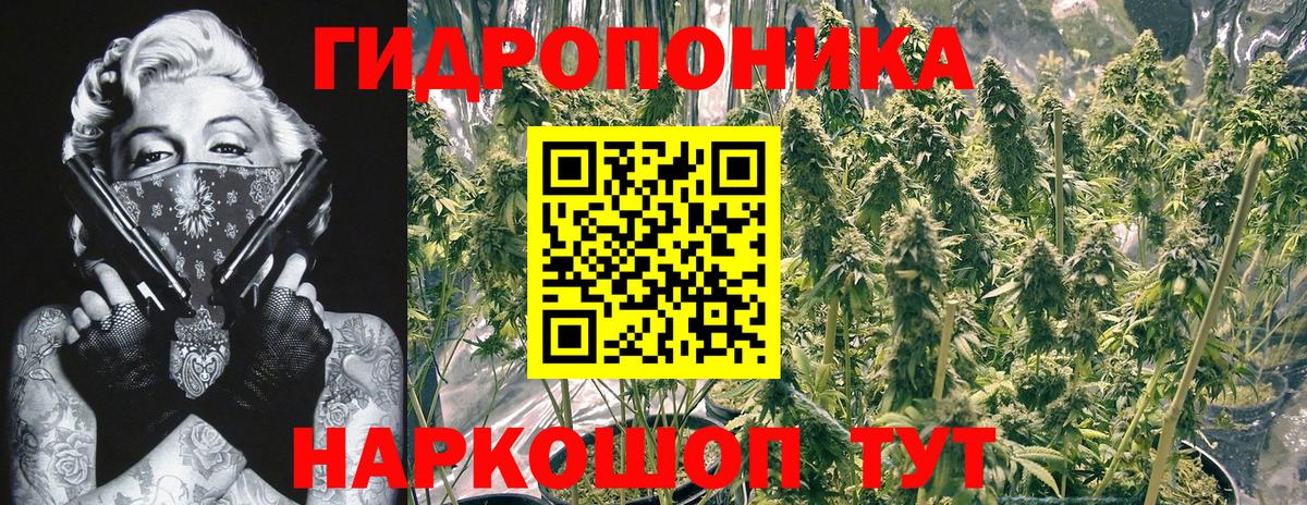 Канабис SATIVA & INDICA Грязи